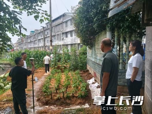工作人员逐户走进沿线居民家中了解情况。 工作人员逐户走进沿线居民家中了解情况。