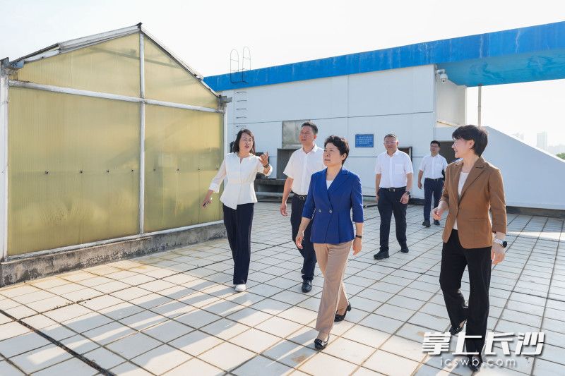 芙蓉区马坡岭空气质量国控站点调研现场。