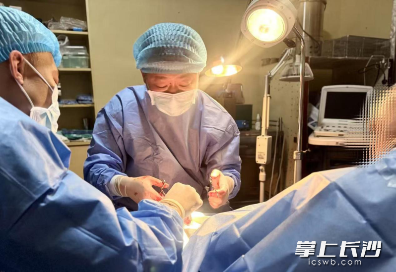 张雄医生在做手术。 医院供图