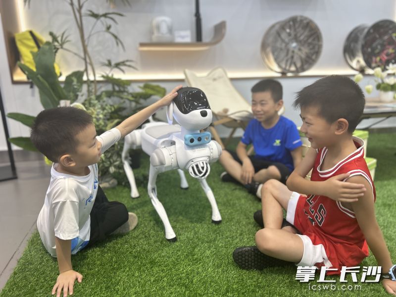 小朋友与机器狗互动。
