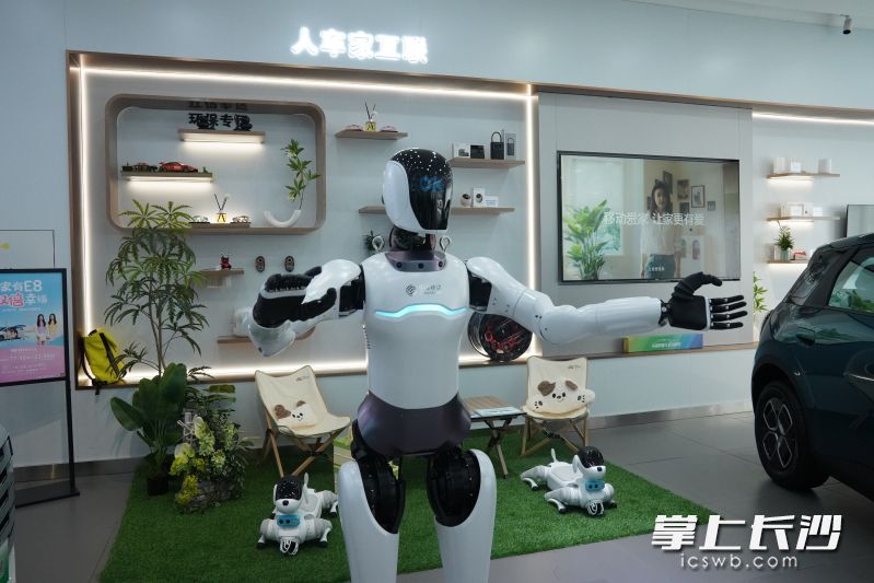 “灵犀”机器人向客户介绍营业厅特色。