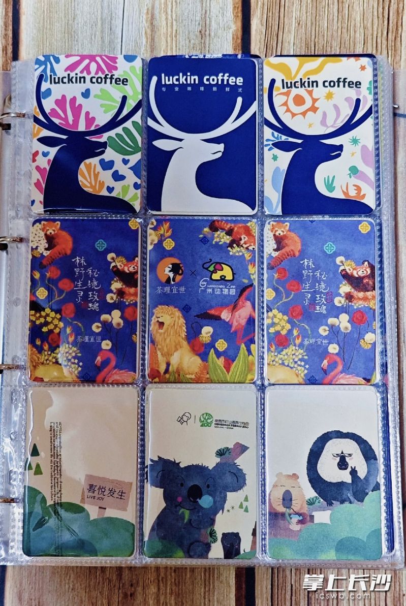 小章的收集簿已经收集了整整十三页。受访者供图