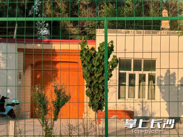 烈日连续7天在长沙准时“打卡”。
