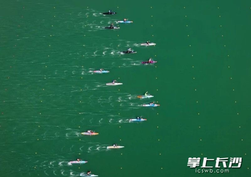 望城区白马街道白马湖，坐上水上卡丁船乐水享清凉。均为景区供图