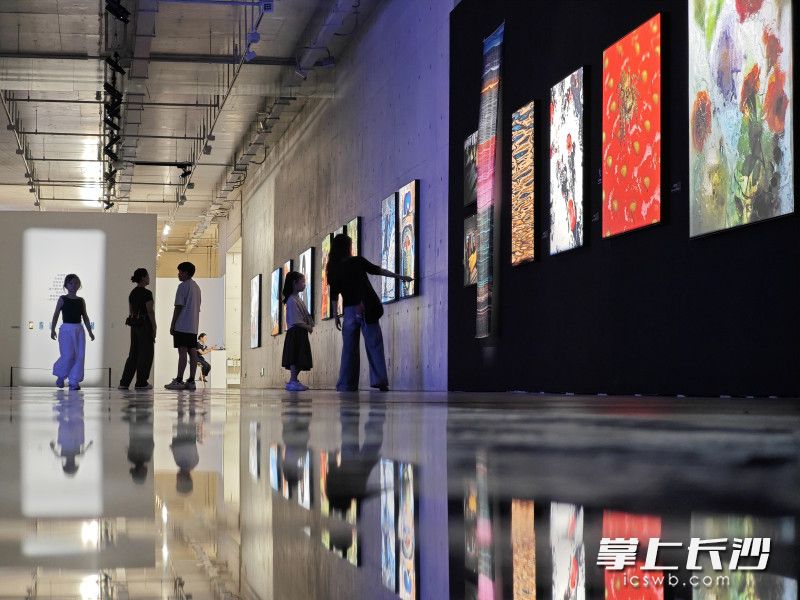 展览现场。