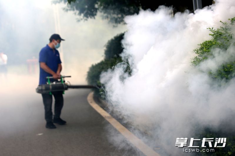 消杀不留死角。 消杀不留死角。