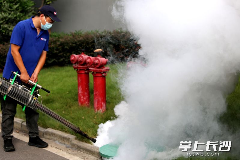 17日下午,清波灭鼠杀虫公司的员工在城市之光小区进行蚊虫消杀。均为长沙晚报全媒体记者 贺文兵 摄 17日下午,清波灭鼠杀虫公司的员工在城市之光小区进行蚊虫消杀。均为长沙晚报全媒体记者 贺文兵 摄