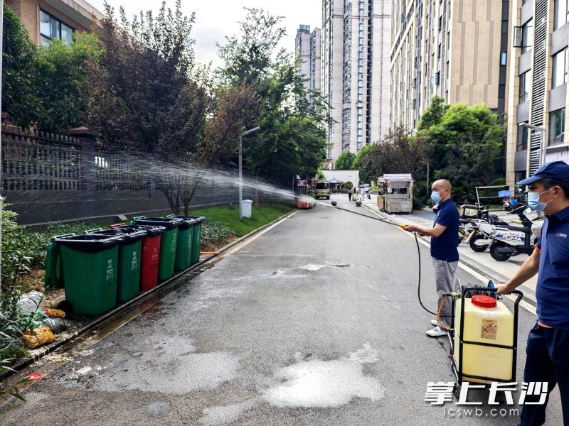 马大勇带着员工在杀蚊灭蚊。 马大勇带着员工在杀蚊灭蚊。