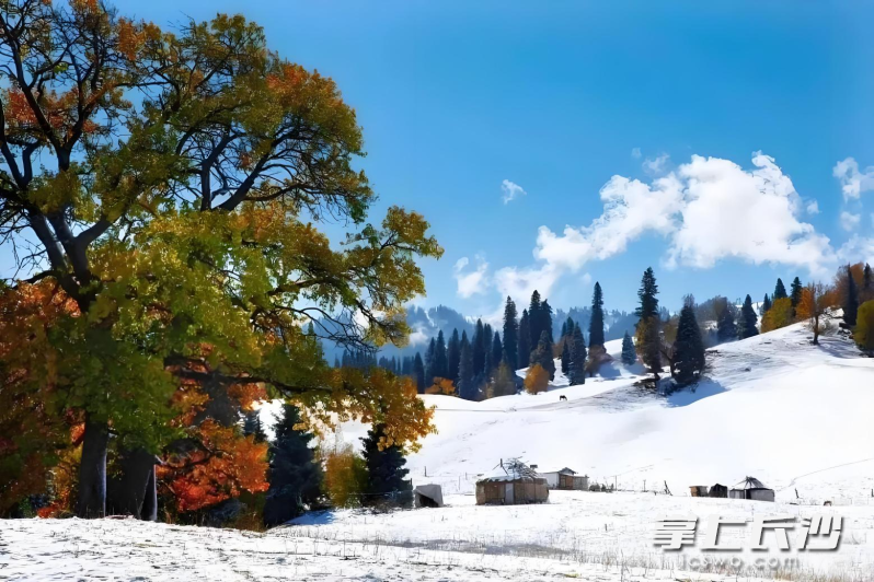 你或许能在伊犁河谷遇见第一场秋雪。 你或许能在伊犁河谷遇见第一场秋雪。