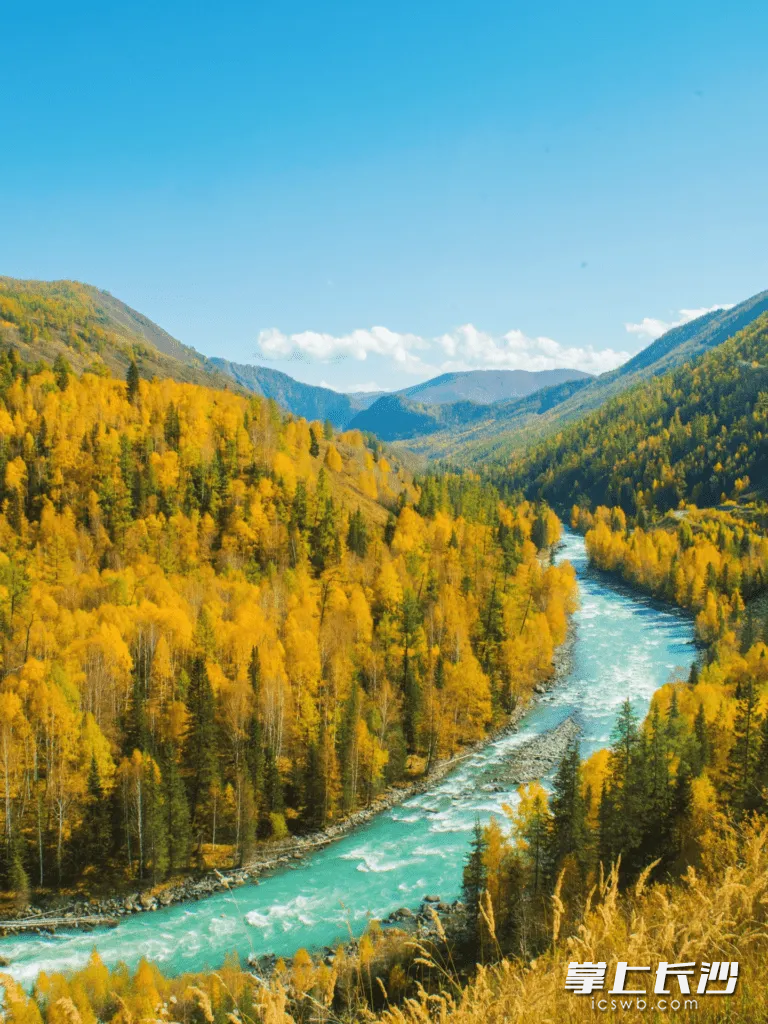 秋日的元素在这里完美融合。 秋日的元素在这里完美融合。