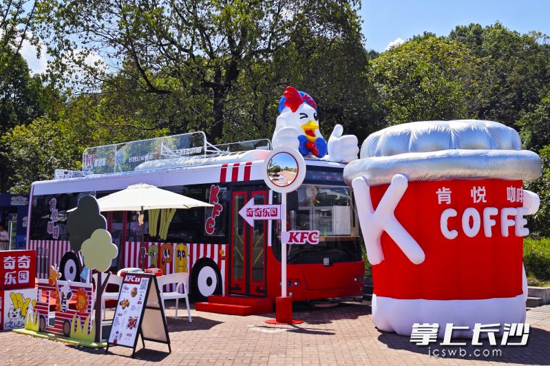 8月16日，全国首家“奇奇乐园肯悦咖啡巴士”在长沙开门迎客。均为通讯员 陈潜 供图