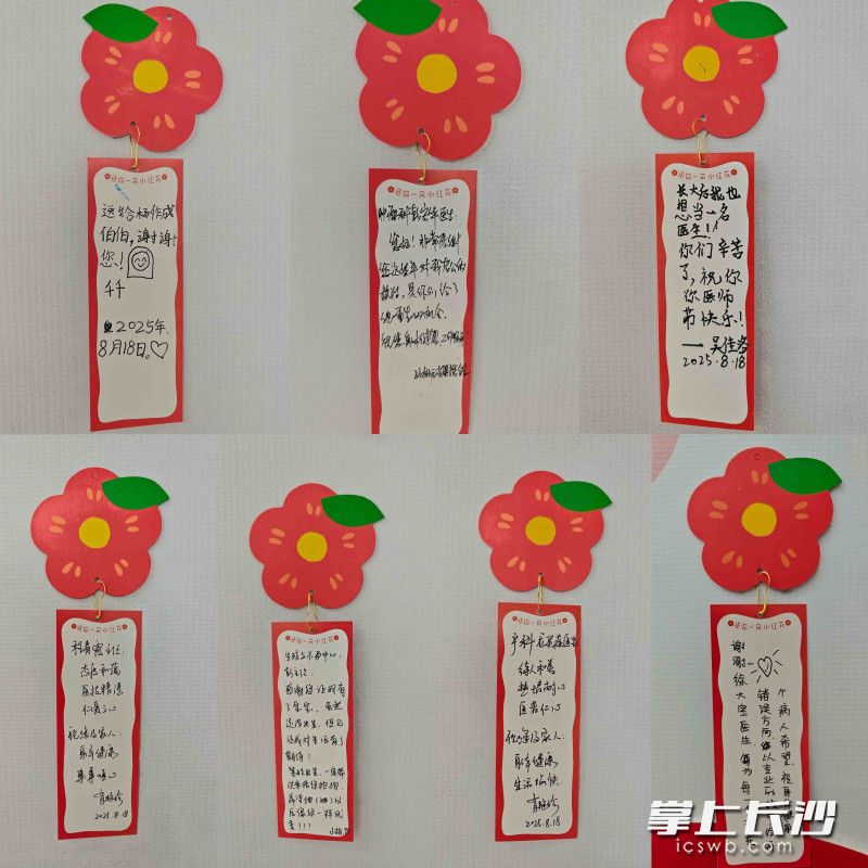 小红花卡片上写满患者及家属对医生祝福的话语。