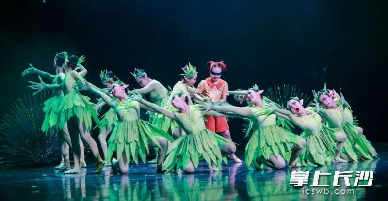 《棕叶上的小世界》将棕编艺术搬上舞台。 均为市残联供图