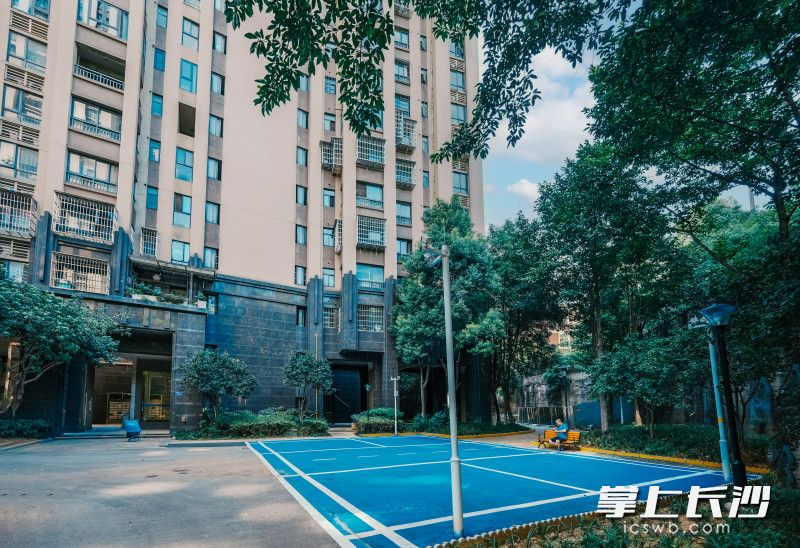 业委会还利用公共收益，将一片50多平方米的建筑垃圾堆放地，改造为羽毛球场。