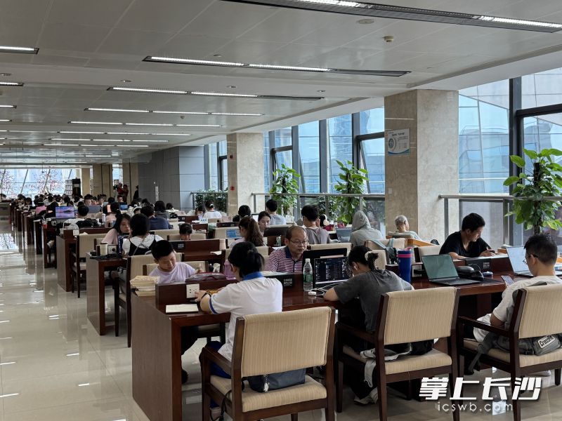 读者在长沙图书馆认真学习。