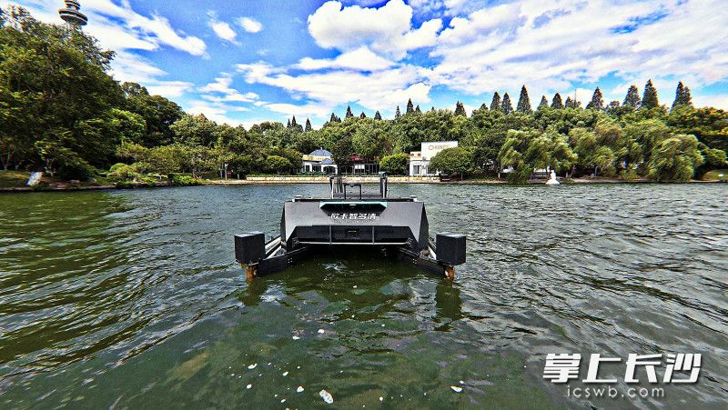 无人清洁船在保洁年嘉湖水面。