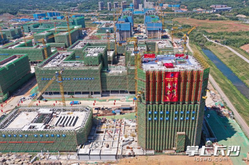 8月24日上午，湖南大学科创港校区（二标段）项目完成最后一块顶板混凝土浇筑，标志着项目主体结构全面封顶。长沙晚报全媒体记者 王志伟 摄