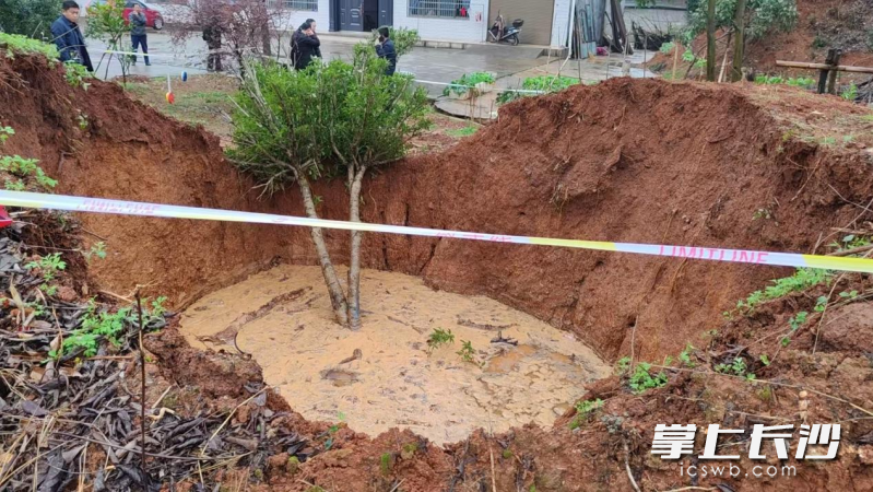 宁乡花明楼镇炭子冲村梅家冲组发生地面塌陷，形成一个巨大坑洞，威胁附近5户16人生命安全。 均为受访方供图