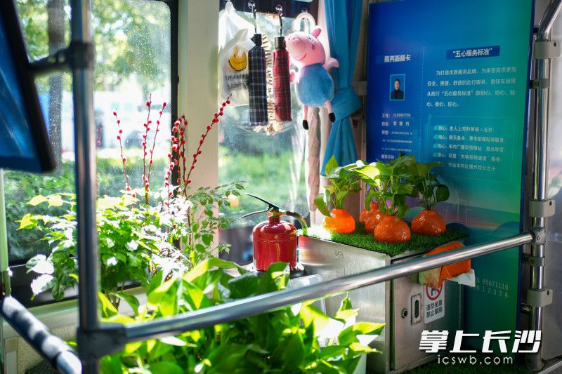 李妮丹把公司配备的绿植布置在车内各处，增添绿意，又准备了雨伞、塑料袋、药箱等供乘客应急。 均为长沙晚报全媒体记者何文瑞摄