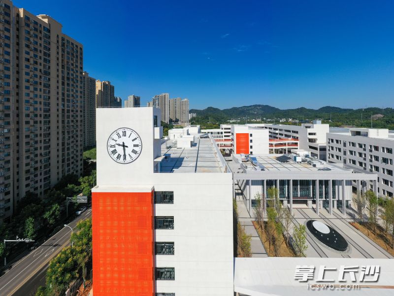 校园一角。