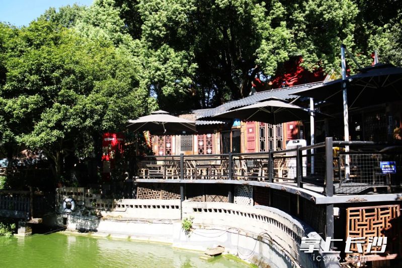 在不大的空间里，这里仍开辟出了小桥流水人家。
