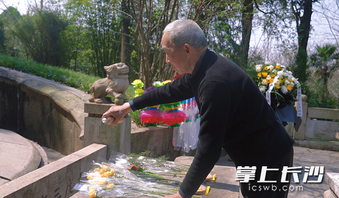 黄志清老人正在清扫左宗棠墓地。雨花区文明办供图