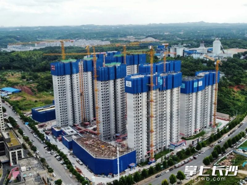 大王山南片保障性住房三期（西地块）项目建设现场。