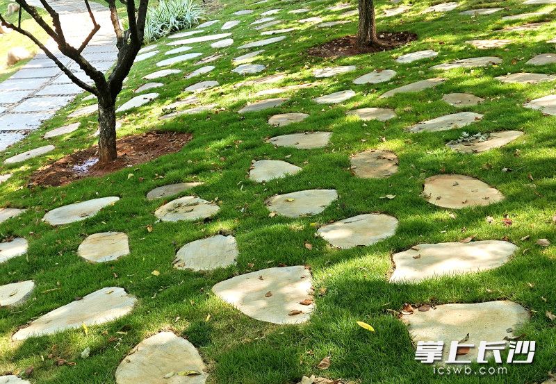 对林下空间进行了科学规划。