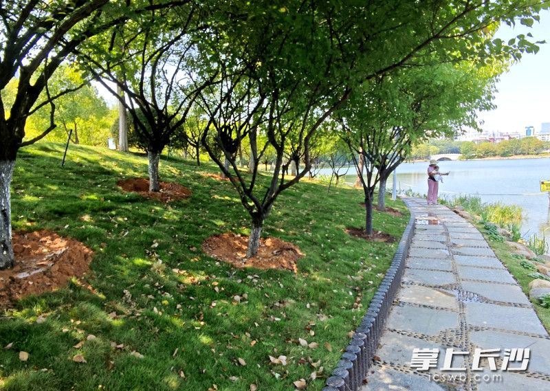 沿年嘉湖岸线延伸的亲水休闲步道成为最大亮点。