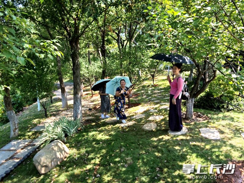 改造过程中始终遵循“生态优先、以人为本”的原则。