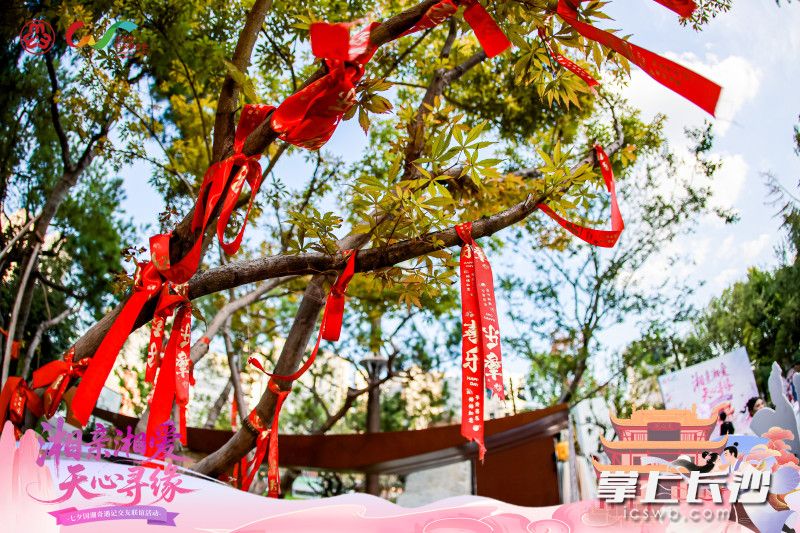 浪漫细节随处可见。