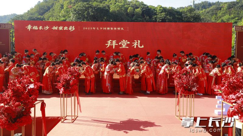 50对新人行拜堂礼。 长沙晚报全媒体记者 刘俊 摄