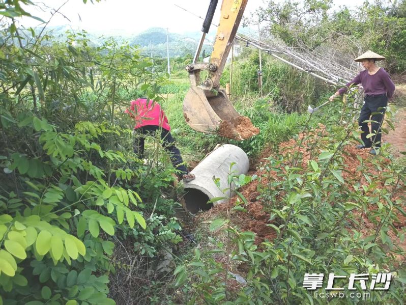 在“三长”带动下，灰汤镇竹田村的村民投工投劳修缮灌渠。