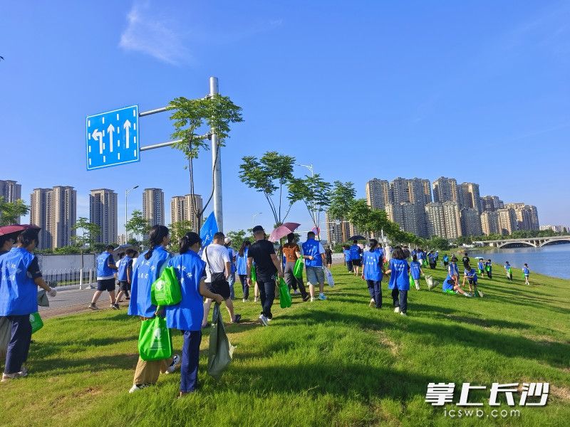 暑假里，宁乡市“河小青”们积极投身生态环境保护志愿服务。 通讯员供图