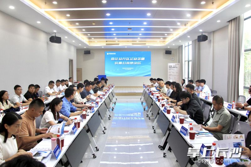 9月4日下午，雨花经开区举办2025年企业金融供需对接座谈会。 长沙晚报通讯员 刘佳妮 摄