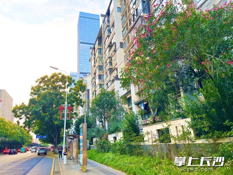 随着雨花区“两清两建”工程全面完工，18条老街巷悄然换新颜。 均为长沙晚报全媒体记者周游、通讯员高兴摄影报道