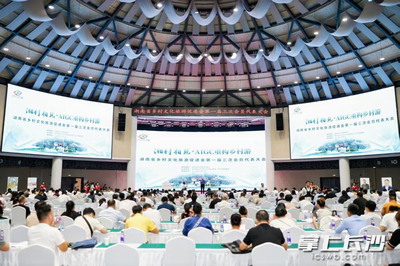 活动现场。主办方供图