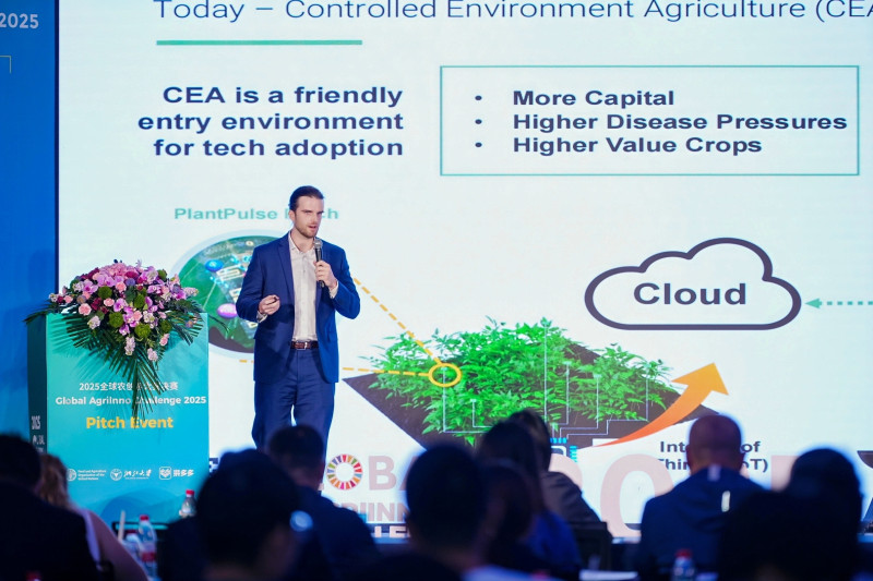 现场路演环节，美国PlantPulse Patch 项目负责人向观众讲解其技术模型。傅俊豪 摄