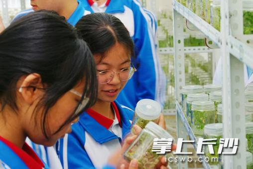 学生在昭通、大理育种基地体验育种育苗培养关键环节。