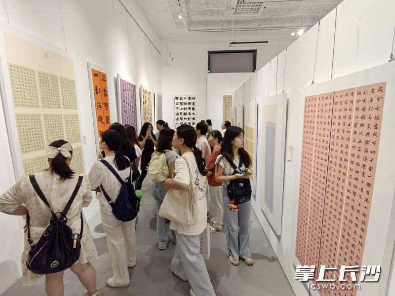 展厅一隅。 展厅一隅。