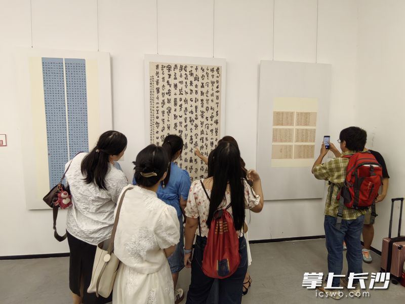 观众驻足欣赏。 观众驻足欣赏。