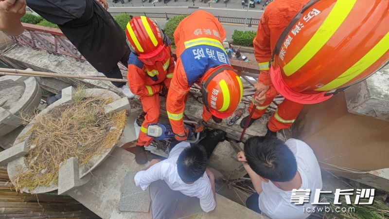 救援现场。 长沙晚报通讯员 王磊 摄