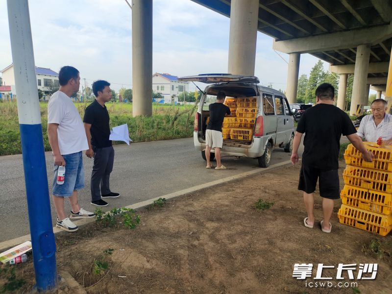 给脱贫户发放鸡苗。长沙晚报通讯员 谭姿 供图