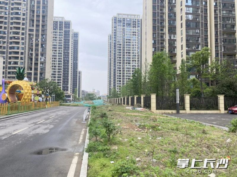 国友路北段贯通前。 资料照片