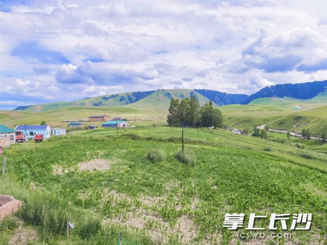 接下来一周长沙市民有望体验夏秋两季。  长沙晚报全媒体记者 舒元臻 摄