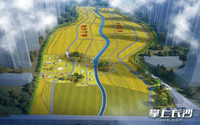 项目效果图。 均为项目方供图