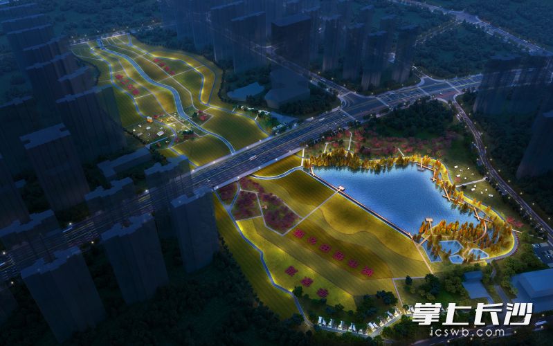 项目夜景效果图。