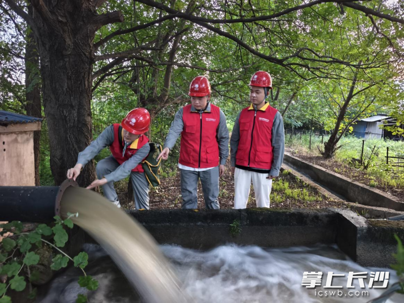 “电雷锋”用可靠的电力保障为万亩农田送去“及时雨”。 均为长沙晚报通讯员刘浩宇供图