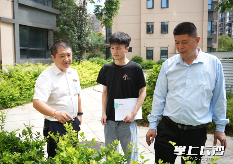 工作人员在盛地领航城分组开展互查互学活动，针对小区绿化问题提出整改意见。均为星沙时报全媒体记者 火统维 摄
