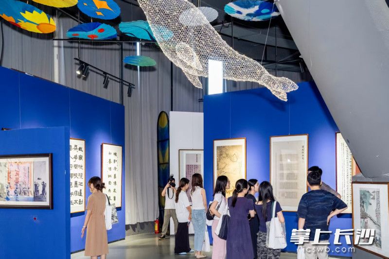 观展现场。